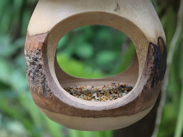 Gros plan d’une mangeoire ronde en bois de manguier, écorce apparente, garnie de graines et suspendue dans la végétation.